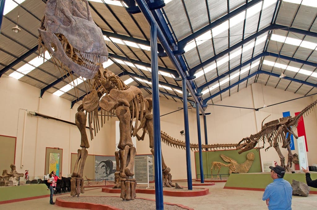 Argentinosaurus huinculensis, el dinosaurio herbívoro más grande del mundo perteneciente al grupo de los saurópodos - Museo Municipal Carmen Funes