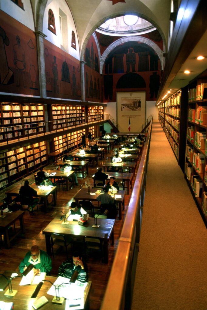Las bibliotecas son un fiel reflejo de cada país, aunque podríamos sorprendernos. De hecho, lo haremos cuando abramos ‘Temple of books’, donde nada es lo que parece.