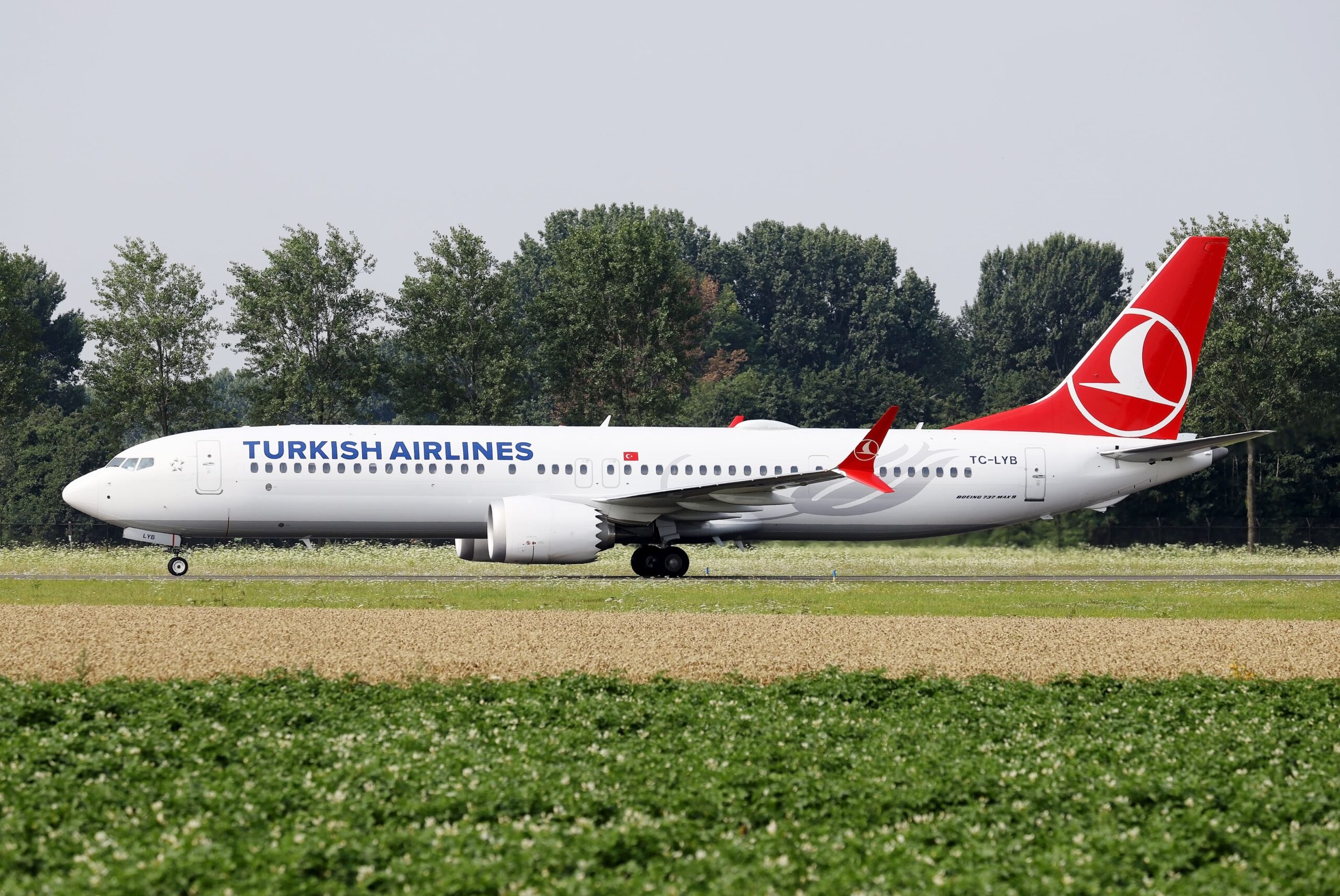 Turkish Airlines a favor del medio ambiente